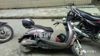 廉江电动车事件最新爆料,真相与争议再起 第1张 廉江电动车事件最新爆料,真相与争议再起 第1张